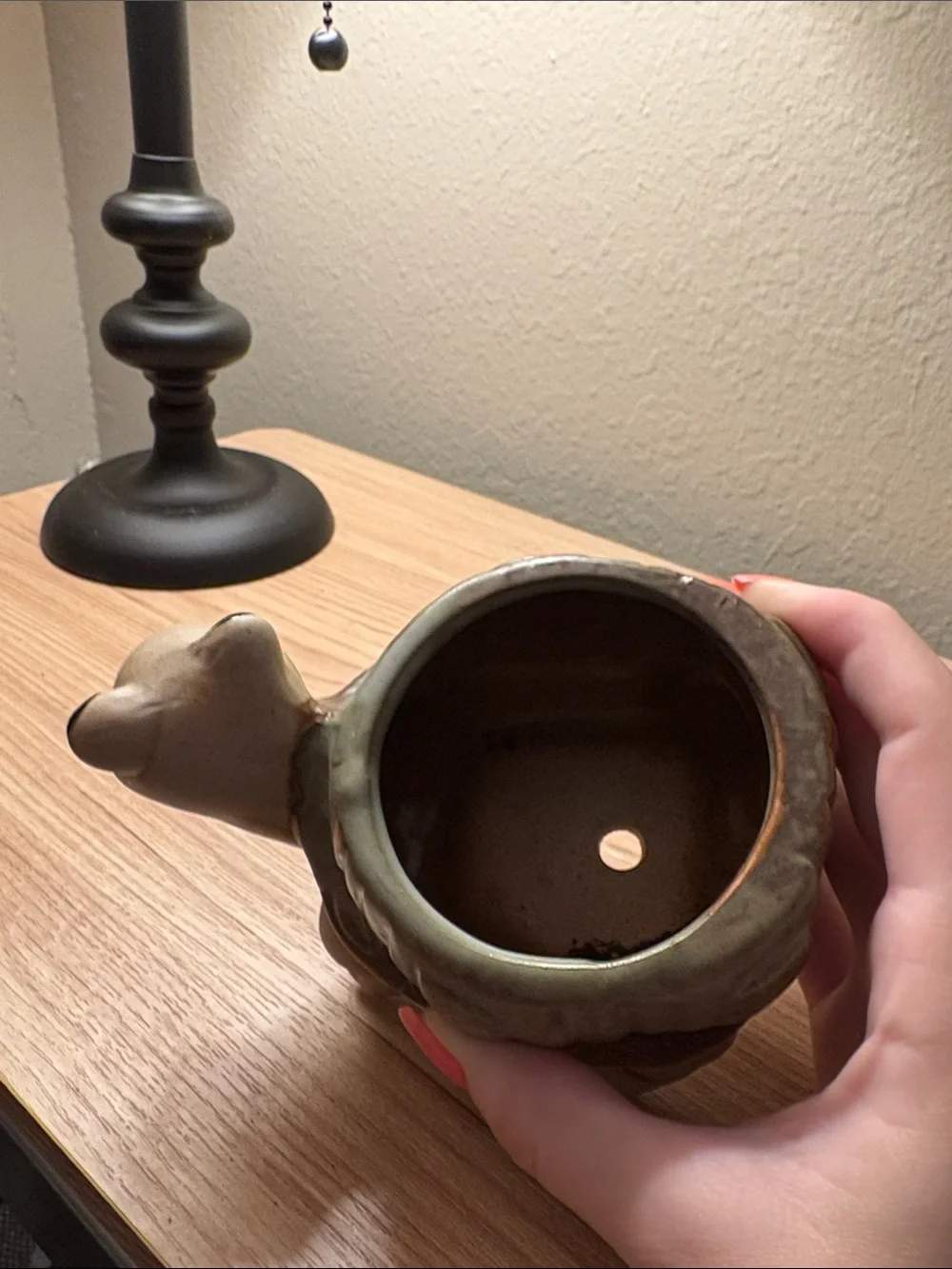 Turtle pot